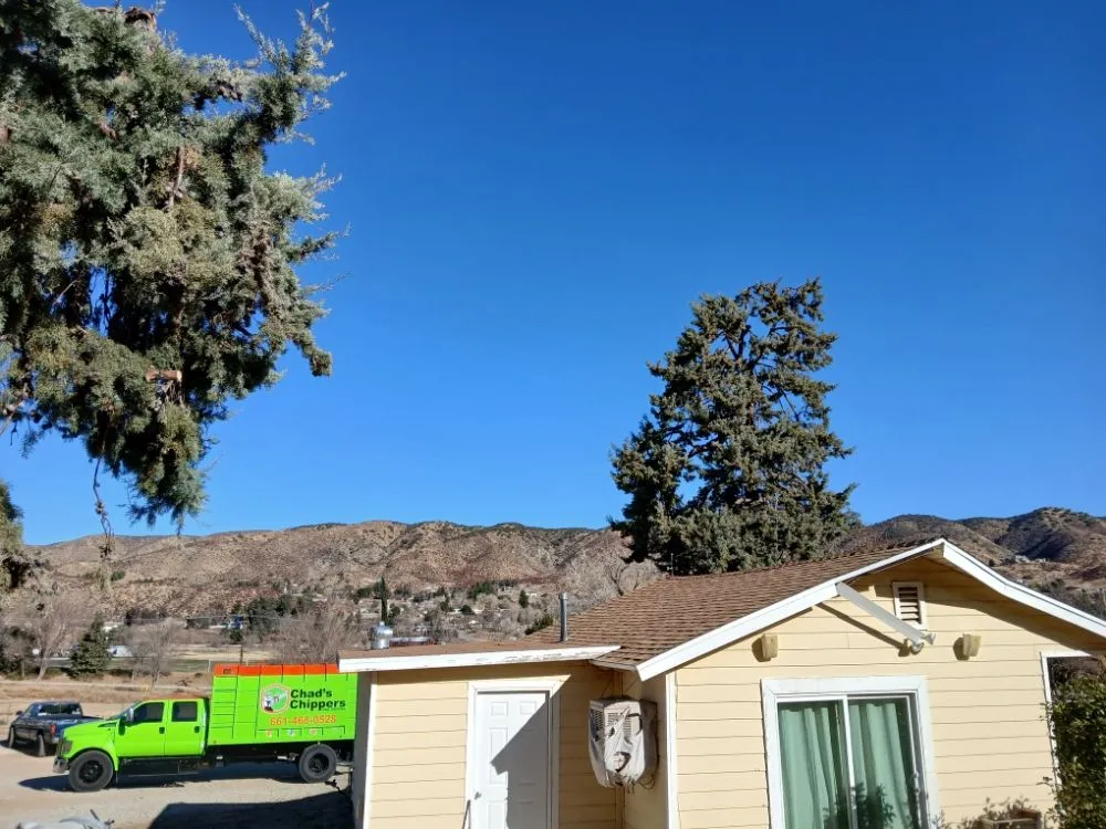 Top-rated yard cleanup service experts serving Lancaster, CA - Chads Chippers