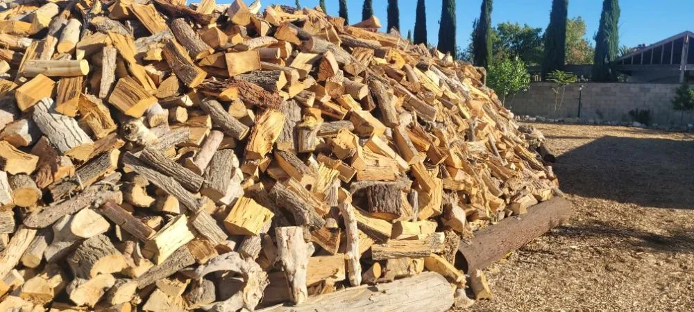 Trusted yard cleanup service in Lancaster, CA by Chads Chippers