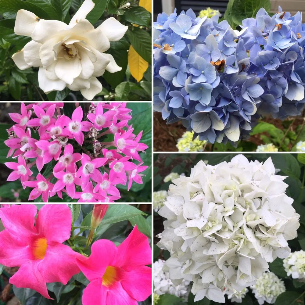 Trusted residential landscaping for residential properties across Mobile, AL - Chad's Landscape Management