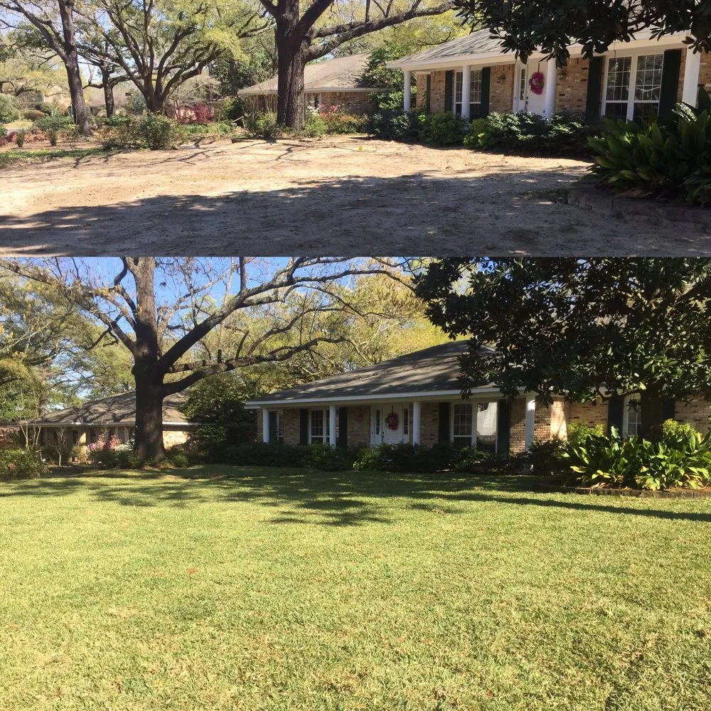 Trusted yard cleanup service for homes in Mobile, AL by Chad's Landscape Management