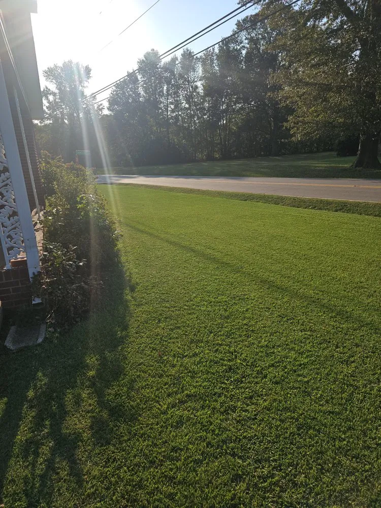 Custom landscape installation for homes in Williamston, SC by Chads Landscaping and Lawn Maintenance