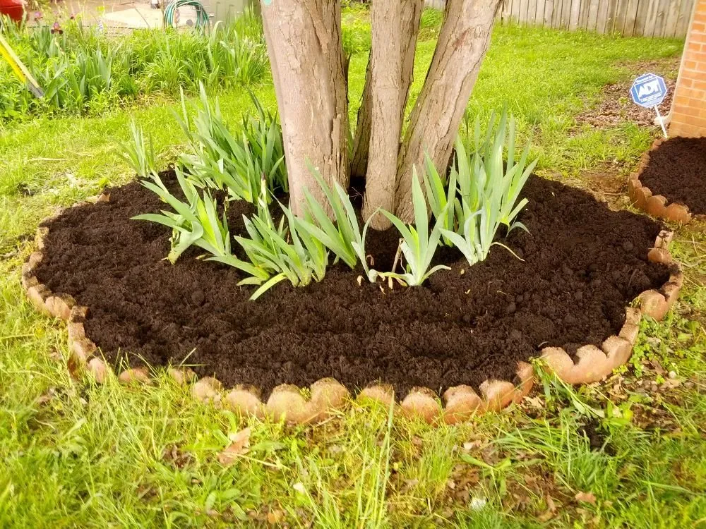 Trusted yard cleanup service in Lebanon, TN by Chad's Lawn Care