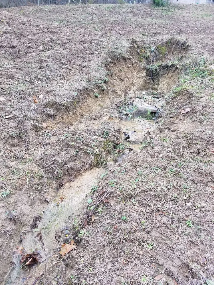 Local landscaping services near you in Lebanon, TN by Chad's Lawn Care