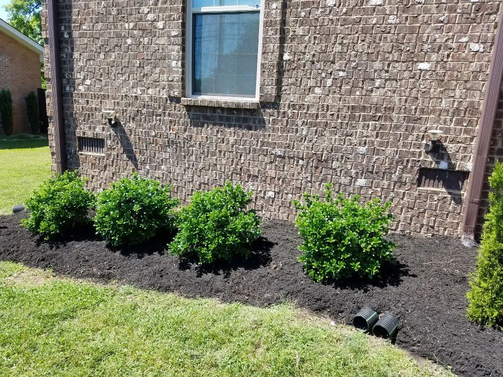 Reliable residential landscaping experts serving Lebanon, TN - Chad's Lawn Care