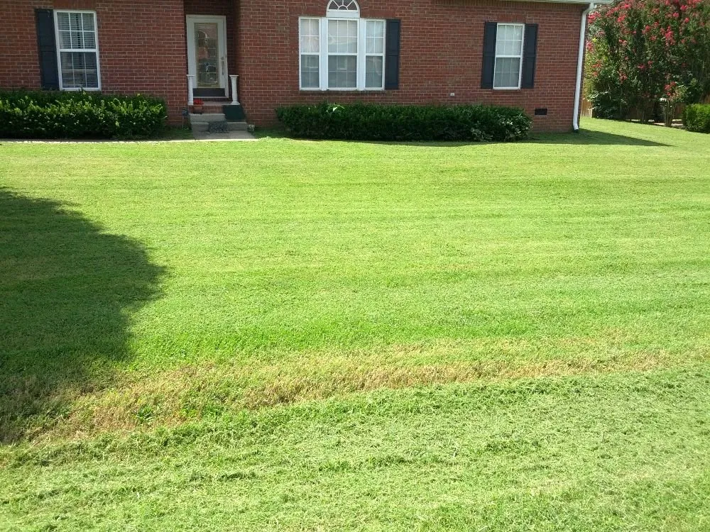 Affordable yard cleanup service experts serving Lebanon, TN - Chad's Lawn Care