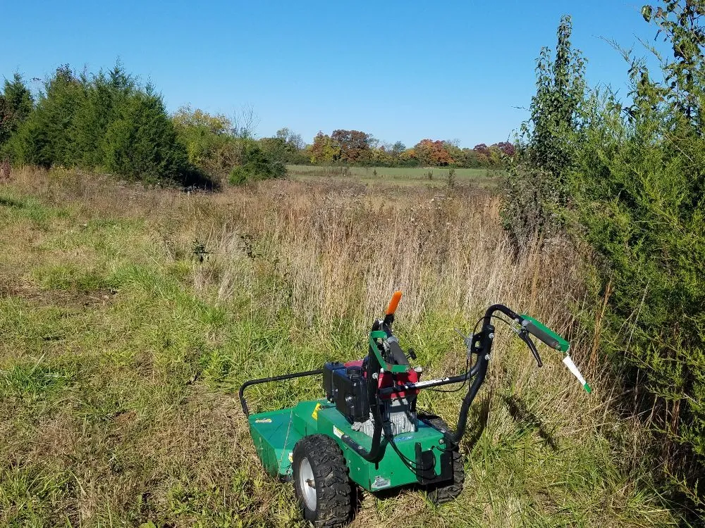 Local yard cleanup service with custom design across Lebanon, TN - Chad's Lawn Care
