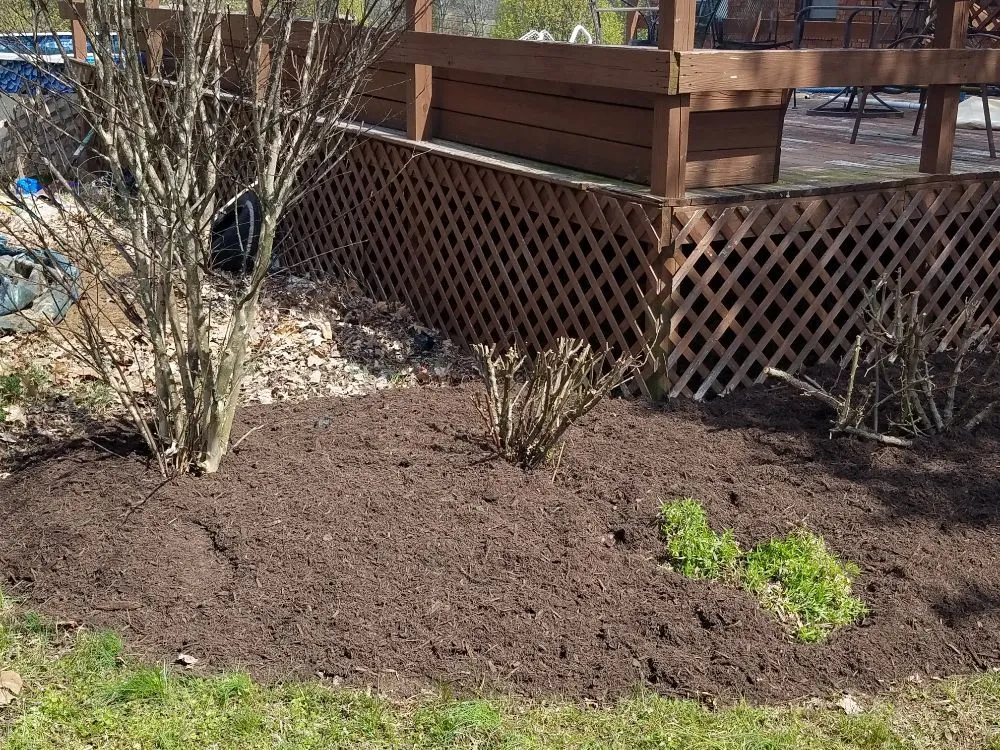 Affordable yard maintenance for residential properties in Lebanon, TN by Chad's Lawn Care