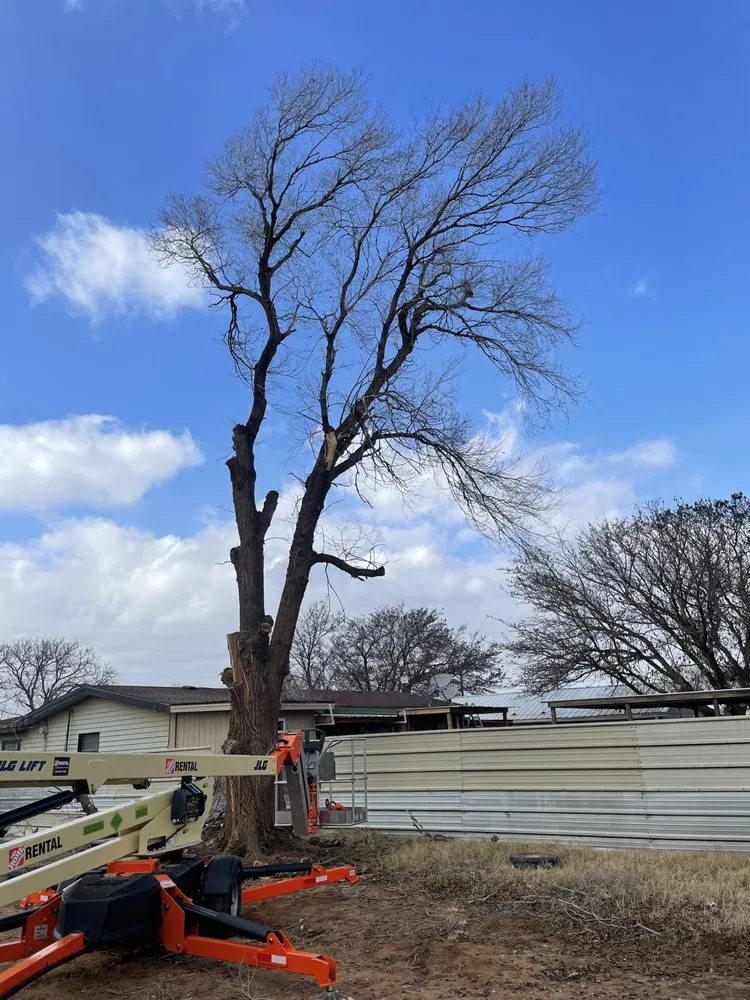 Expert garden landscaping in Lubbock, TX by Chads Lawn Care