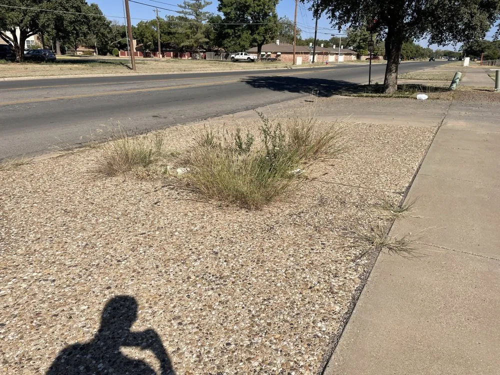 Top-rated landscaping services experts serving Lubbock, TX - Chads Lawn Care