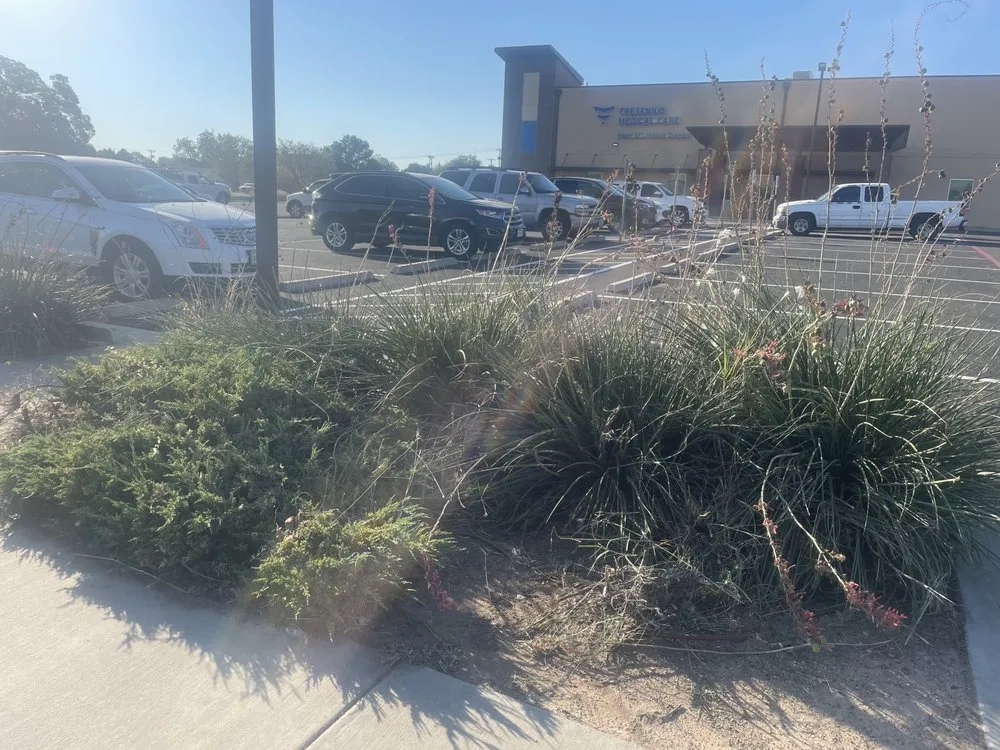 Trusted landscaping services experts serving Lubbock, TX - Chads Lawn Care