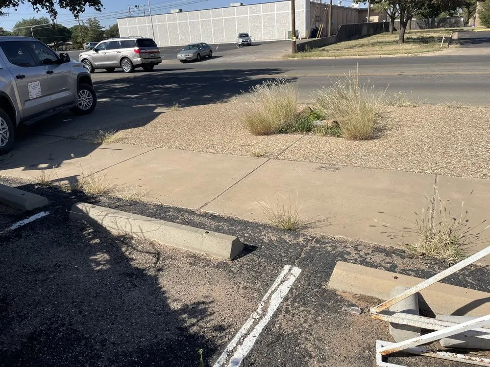 Professional yard cleanup service experts serving Lubbock, TX - Chads Lawn Care