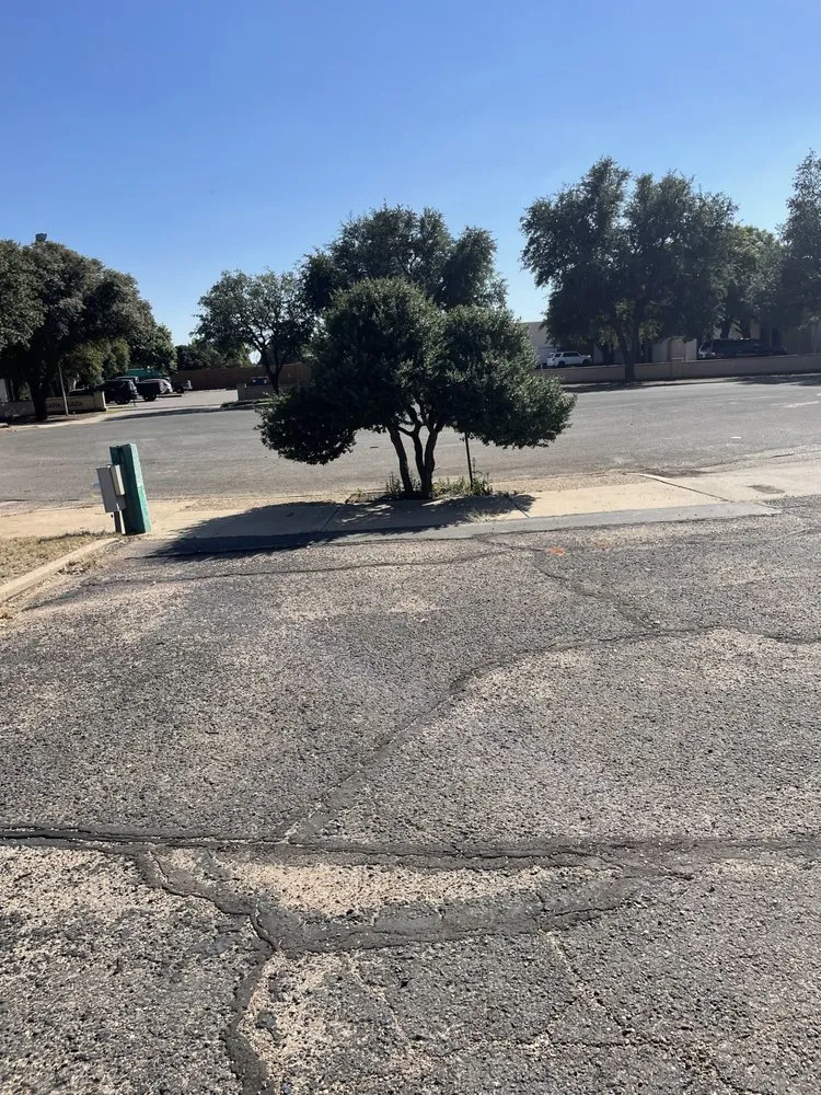 Reliable yard cleanup service experts serving Lubbock, TX - Chads Lawn Care