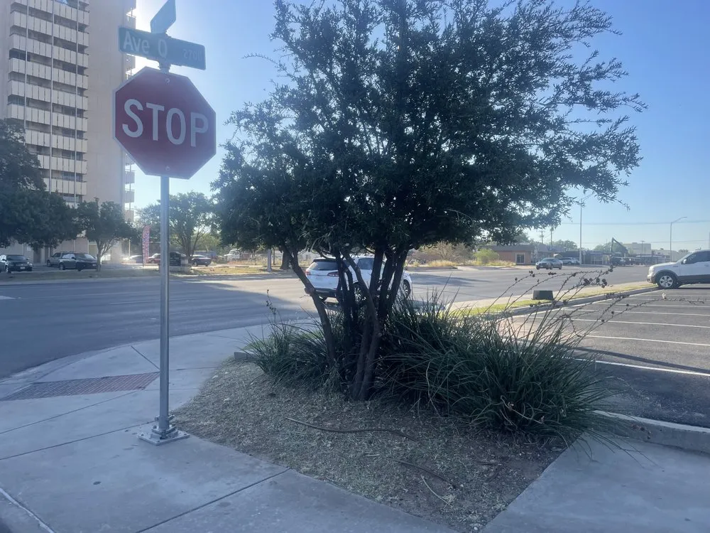 Local landscaping services experts serving Lubbock, TX - Chads Lawn Care