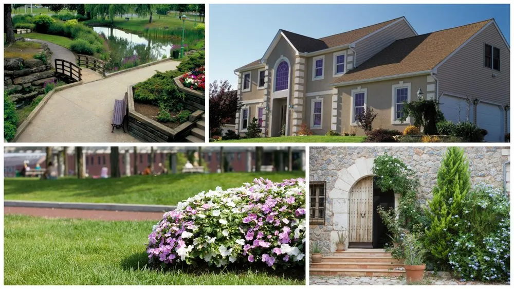 Expert landscaping services in Carl Junction, MO by Chad's Lawn Service