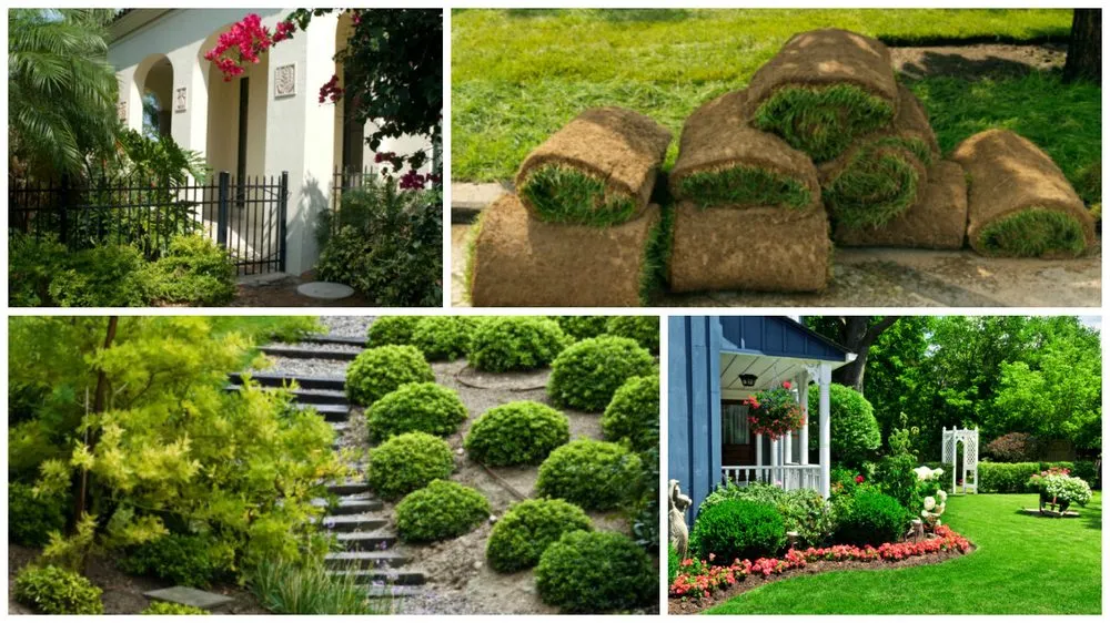 Trusted lawn mowing service in Carl Junction, MO - Chad's Lawn Service