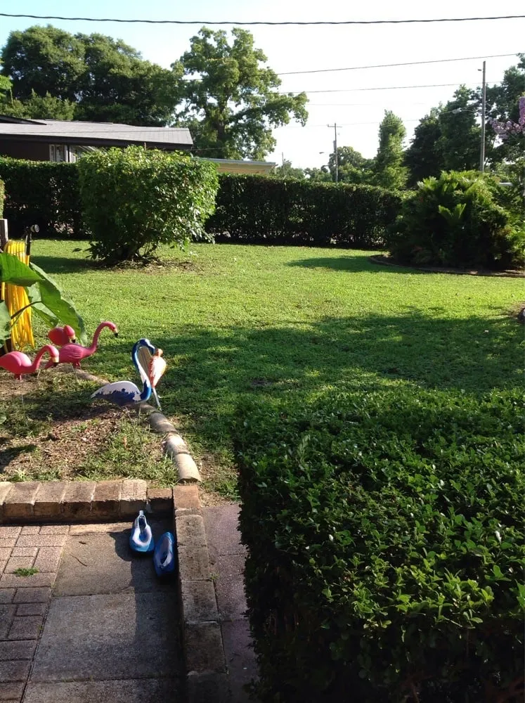 Trusted landscaping services experts serving Jacksonville, FL - Chad's Lawn Service