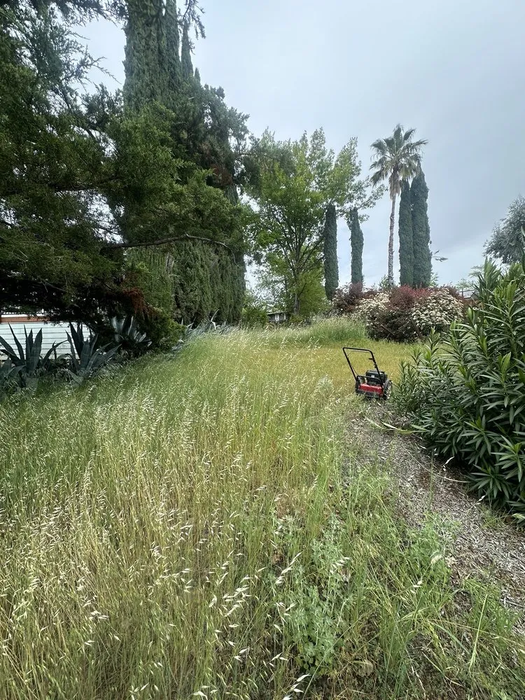 Expert residential landscaping in Hidden Valley Lake, CA - Chads Weed Whacking And Fire Fuel Remediation