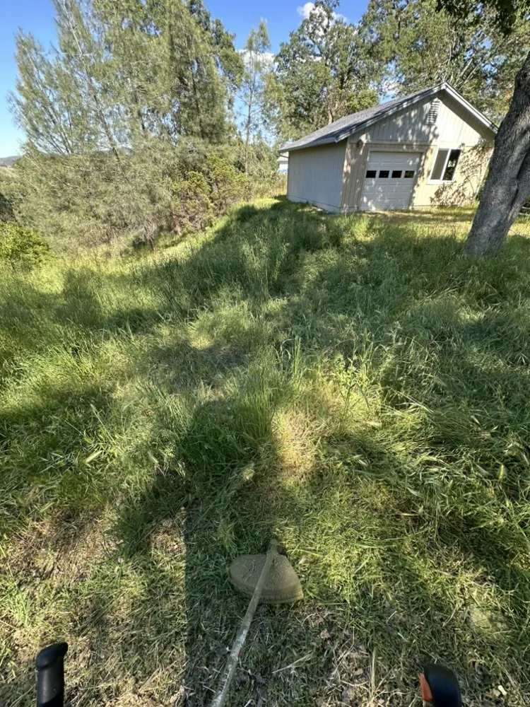 Top-rated yard cleanup service for outdoor upgrades in Hidden Valley Lake, CA by Chads Weed Whacking And Fire Fuel Remediation