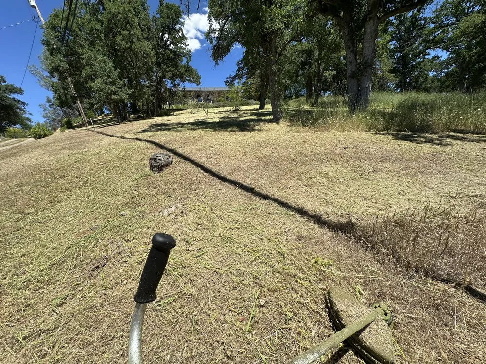 Local landscape design in Hidden Valley Lake, CA by Chads Weed Whacking And Fire Fuel Remediation