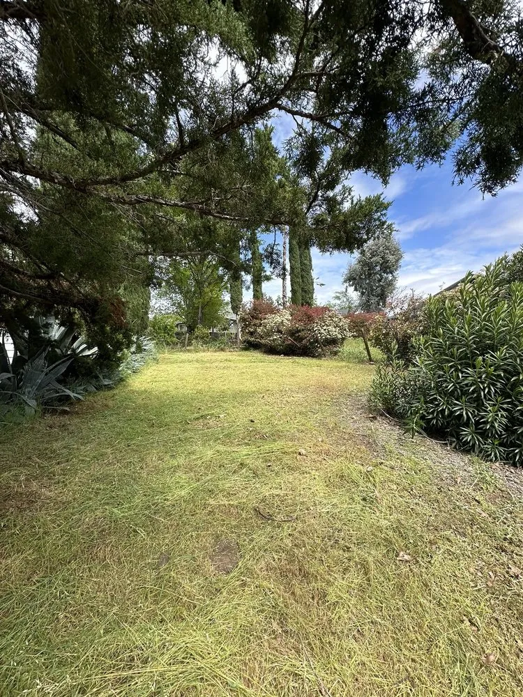 Top-rated yard maintenance for year-round maintenance across Hidden Valley Lake, CA - Chads Weed Whacking And Fire Fuel Remediation