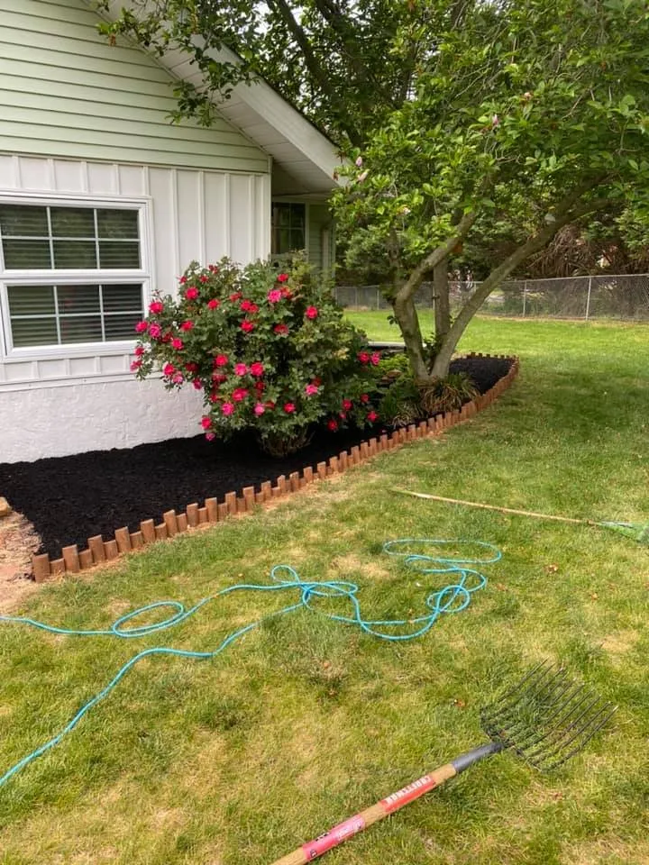 Local yard cleanup service in Elkton, MD by Chadscaping