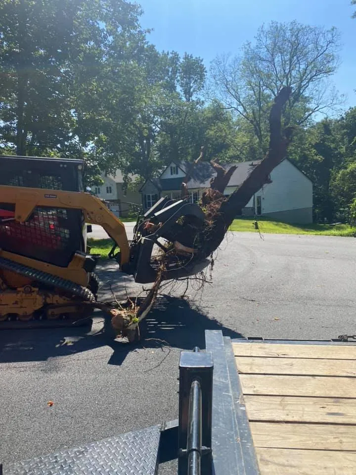 Reliable garden landscaping experts serving Elkton, MD - Chadscaping