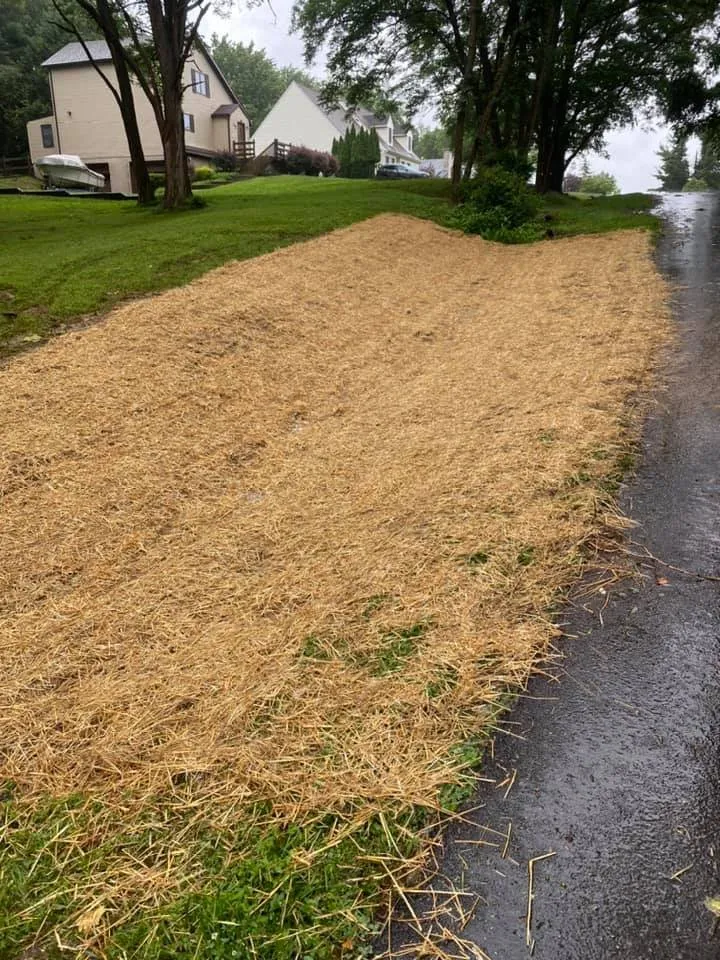 Top-rated outdoor landscaping in Elkton, MD by Chadscaping