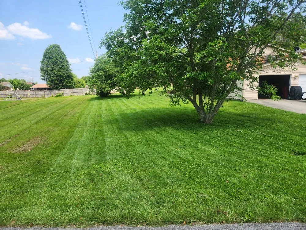 Reliable landscape design in Corbin, KY by Chaffins Lawncare