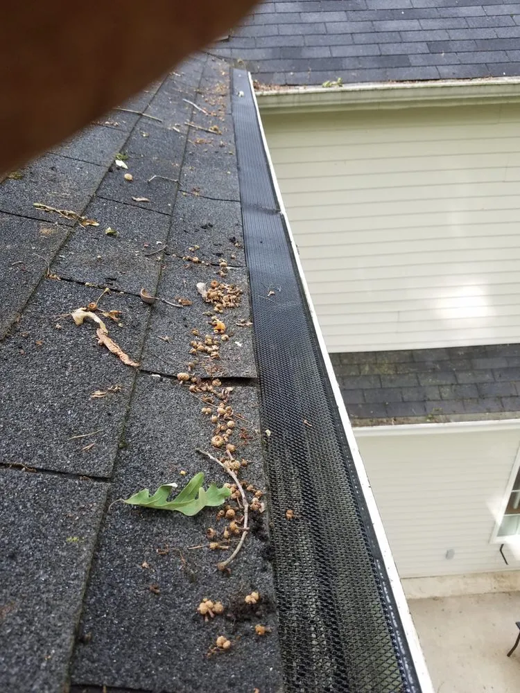 Top-rated yard maintenance in Delton, MI - Chagnon's Landscape Service