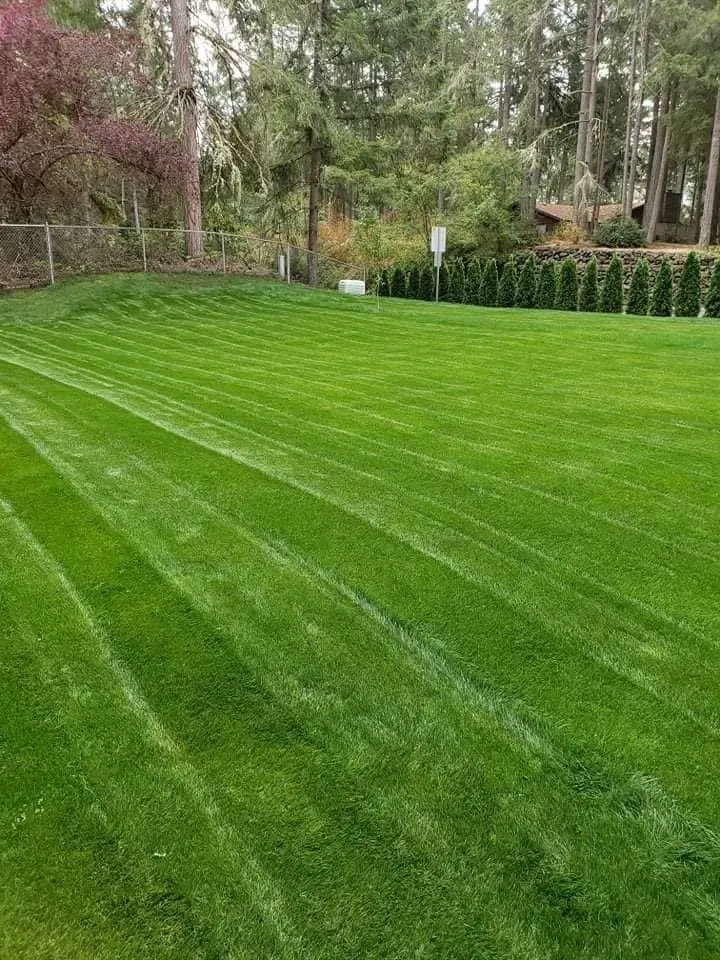 Local residential landscaping in Olympia, WA - Chago Landscaping