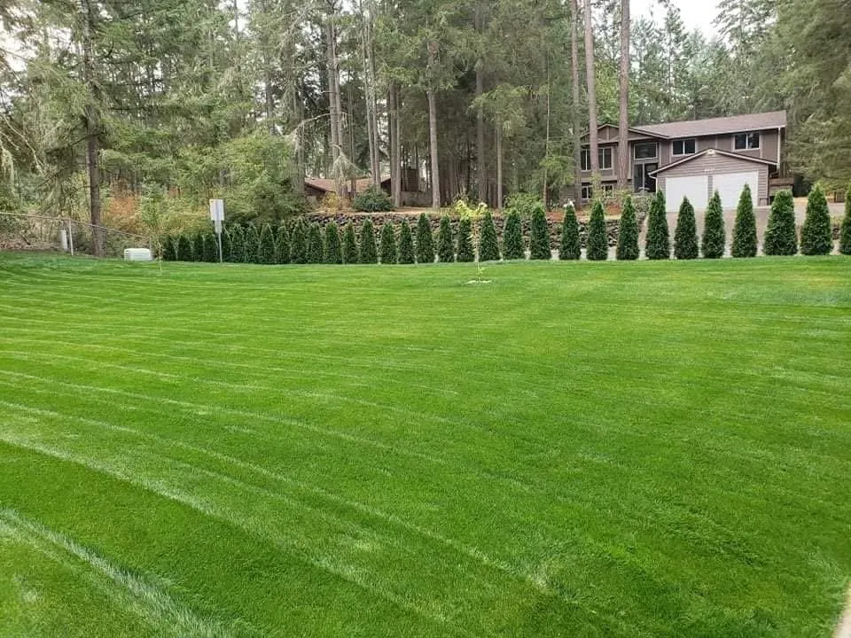 Local landscape design for homes in Olympia, WA by Chago Landscaping