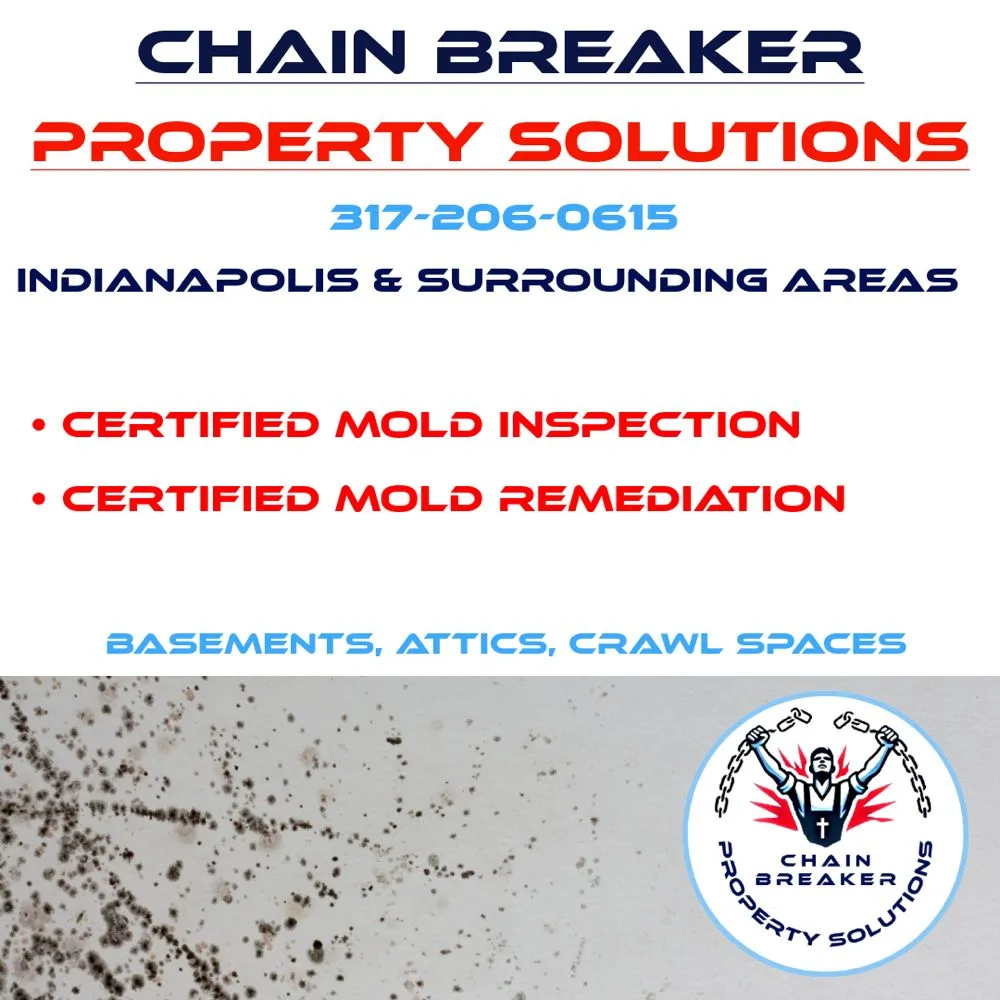 Affordable yard cleanup service for homes across Indianapolis, IN - Chain Breaker Property Solutions