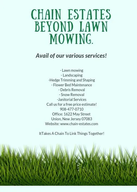 Expert lawn care service for homes in Union, NJ by Chain Estates