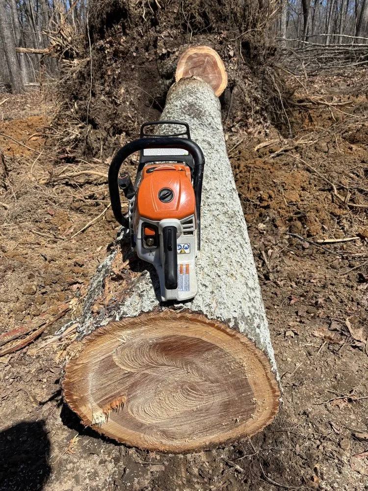 Custom lawn care service in Hixson, TN by Chainsaw Tree Service