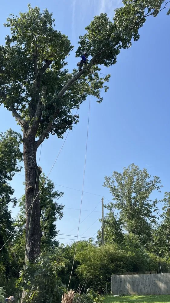 Professional garden landscaping for residential properties across Hixson, TN - Chainsaw Tree Service