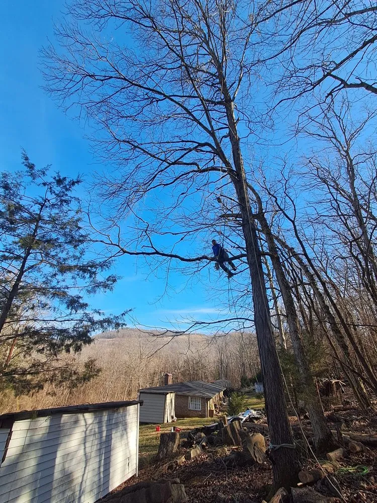 Local yard maintenance for residential properties across Hixson, TN - Chainsaw Tree Service