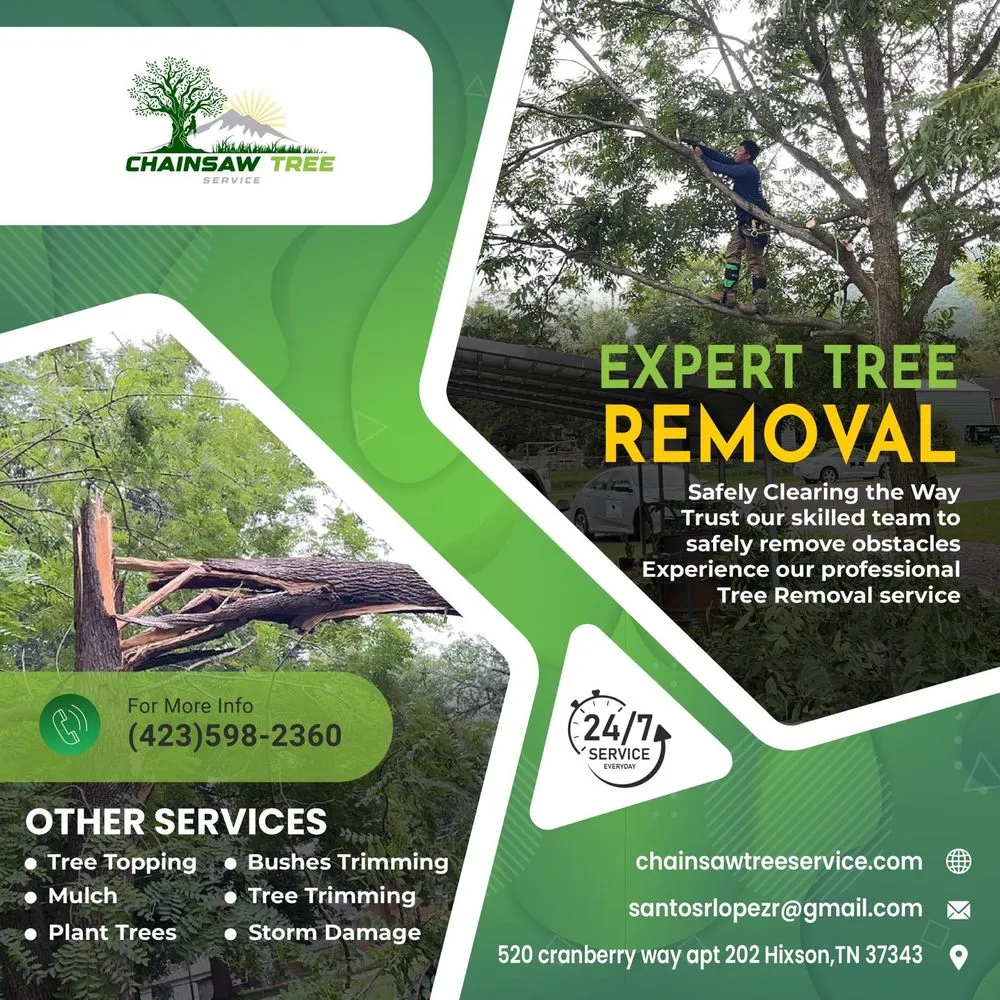 Top-rated lawn mowing service in Hixson, TN by Chainsaw Tree Service