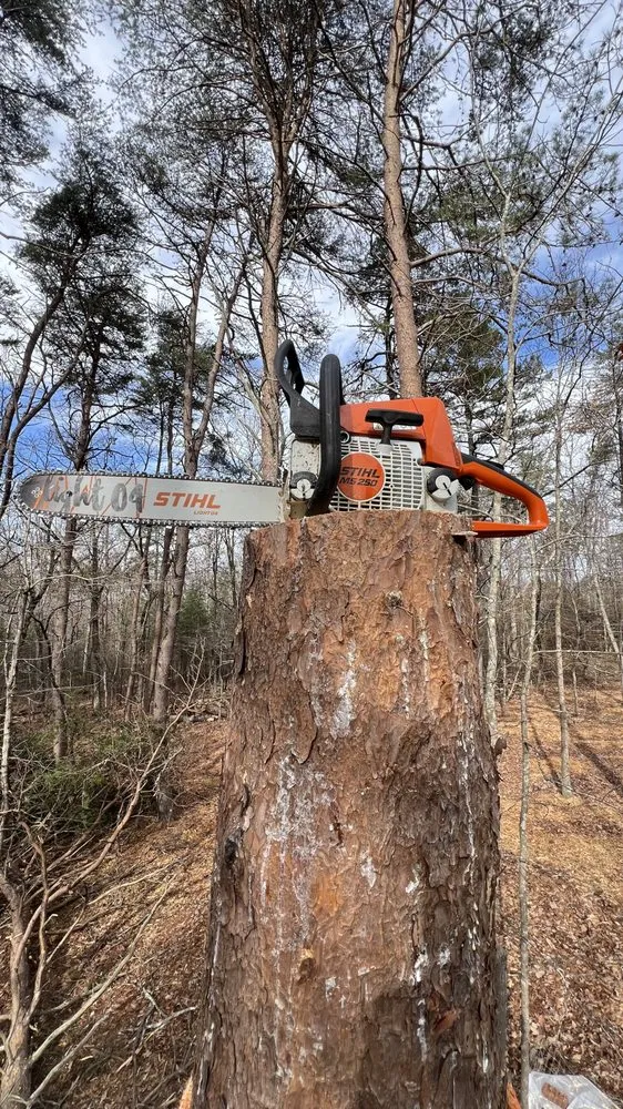 Trusted landscaping services in Hixson, TN - Chainsaw Tree Service