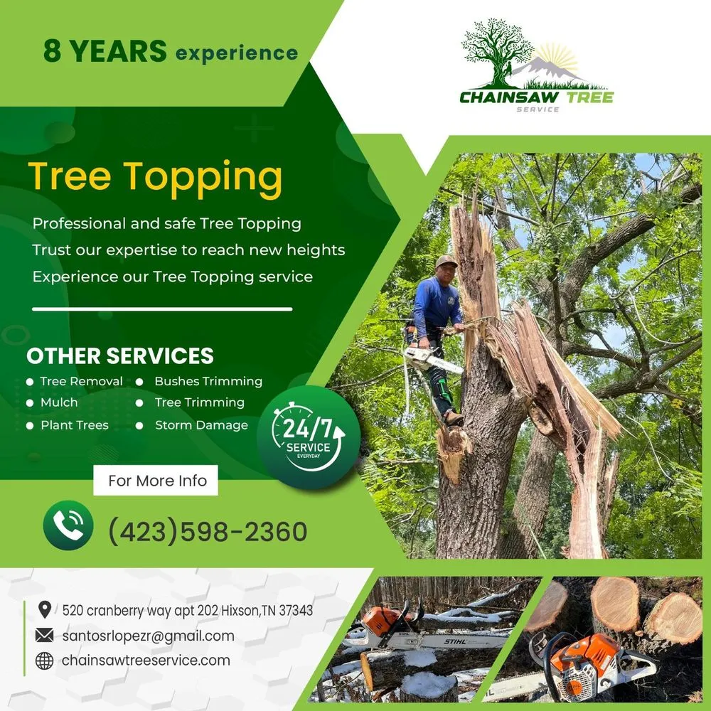 Custom yard cleanup service experts serving Hixson, TN - Chainsaw Tree Service