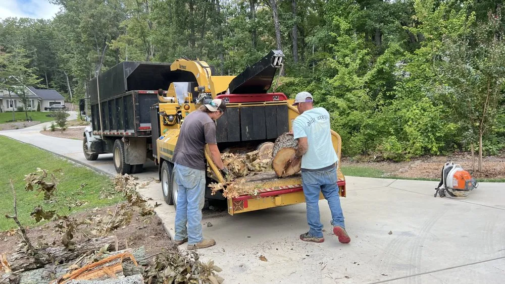 Expert residential landscaping experts serving Hixson, TN - Chainsaw Tree Service