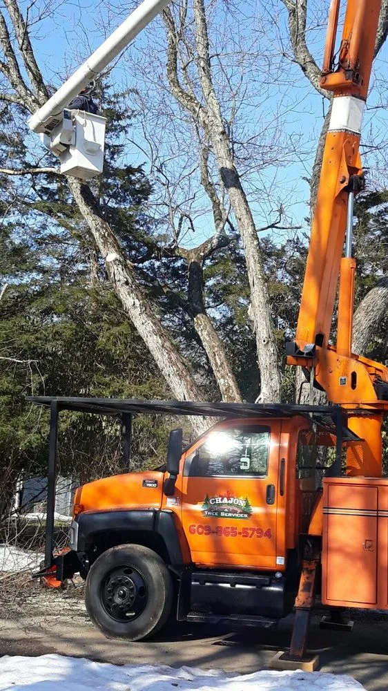 Local landscape installation for outdoor upgrades across Princeton, NJ - Chajon Landscaping & tree service