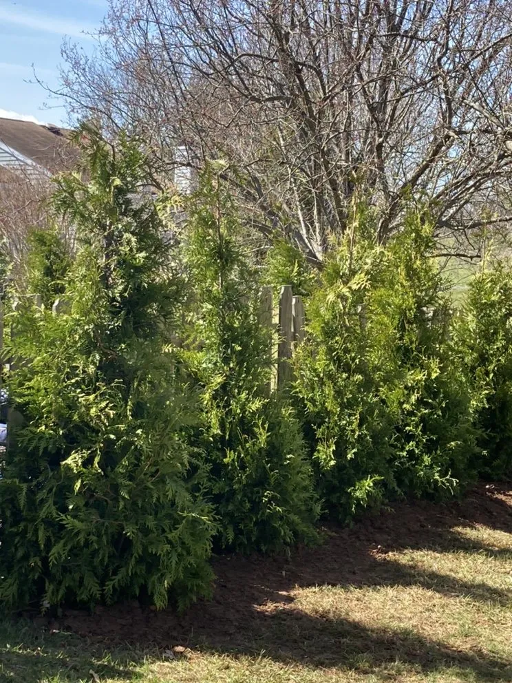 Custom landscape installation in Princeton, NJ - Chajon Landscaping & tree service