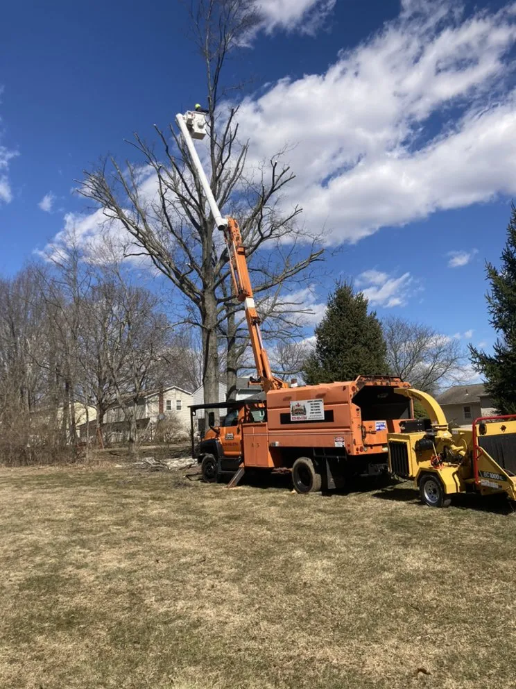 Expert yard cleanup service in Princeton, NJ by Chajon Landscaping & tree service