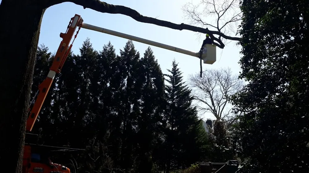 Professional residential landscaping experts serving Princeton, NJ - Chajon Landscaping & tree service