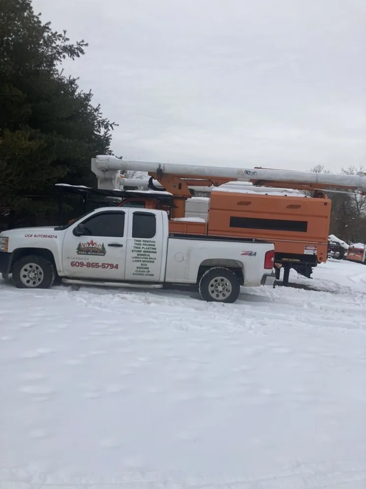 Local landscape design experts serving Princeton, NJ - Chajon Landscaping & tree service