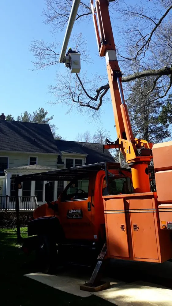 Affordable lawn care service for outdoor upgrades across Princeton, NJ - Chajon Landscaping & tree service