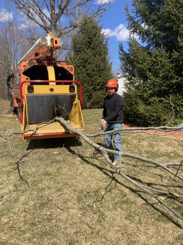 Trusted garden landscaping for beautiful yards across Princeton, NJ - Chajon Landscaping & tree service