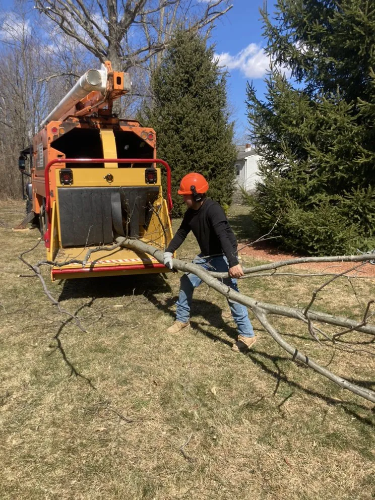 Reliable residential landscaping in Princeton, NJ - Chajon Landscaping & tree service
