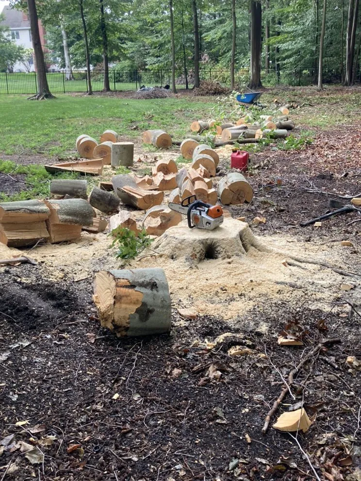 Reliable yard maintenance experts serving Princeton, NJ - Chajon Landscaping & tree service