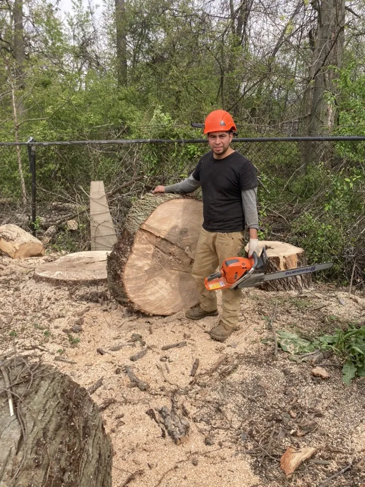 Reliable yard maintenance in Princeton, NJ by Chajon Landscaping & tree service